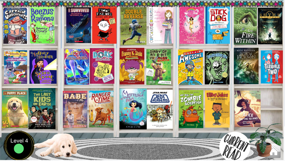 Book Series Level 4